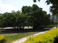贛南師范學(xué)院科技學(xué)院2023年學(xué)費(fèi)、收費(fèi)多少