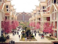 云南民族師范大學雨花校區(qū)2023年招生錄取分數線