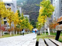 吉首師范大學(xué)張家界學(xué)院2023年招生錄取分?jǐn)?shù)線(xiàn)
