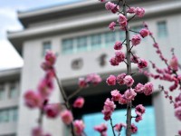 延安大學(xué)師范學(xué)院楊家?guī)X校區(qū)2023年學(xué)費(fèi)、收費(fèi)多少