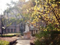 東華大學師范學院延安路校區(qū)2023年學費、收費多少
