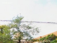 西安職業(yè)中等幼師專業(yè)學(xué)校2023年報(bào)名條件、招生要求、招生對(duì)象