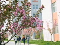 渭南職業(yè)技術(shù)師范學(xué)院朝陽校區(qū)2023年學(xué)費、收費多少