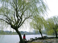 金華職業(yè)技術(shù)師范學(xué)院2023年學(xué)費(fèi)、收費(fèi)多少
