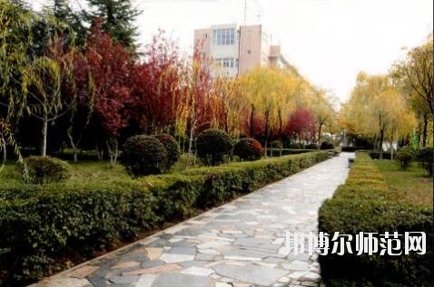 陜西職業(yè)技術師范學院網(wǎng)站網(wǎng)址