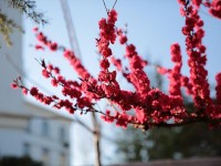 山東威海藝術(shù)幼兒師范學(xué)校2023年學(xué)費(fèi)、收費(fèi)多少