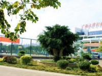 廣西大學(xué)行健文理師范學(xué)院2023年學(xué)費(fèi)、收費(fèi)多少