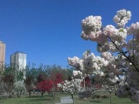 河北正定師范高等?？茖W校2023年招生錄取分數(shù)線