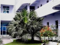 四川信息工程幼兒師范學(xué)校2023年報名條件、招生要求、招生對象