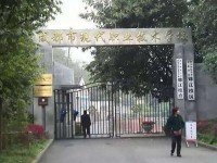 成都現(xiàn)代幼師職業(yè)技術(shù)學(xué)校2023年招生錄取分數(shù)線