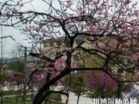 貴陽(yáng)中華幼師職業(yè)學(xué)校2023年怎么樣、好不好