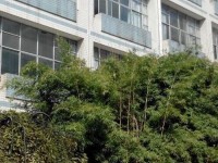 貴州貴陽(yáng)中山科技幼兒師范學(xué)校2023年學(xué)費(fèi)、收費(fèi)多少