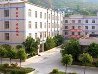 寧南幼兒師范職業(yè)技術學校2023年招生計劃