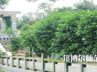 德陽通用電子科技幼兒師范學(xué)校2021年報名條件、招生要求、招生對象