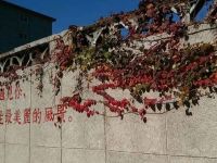 對外經(jīng)濟貿(mào)易師范大學歷年招生錄取分數(shù)線