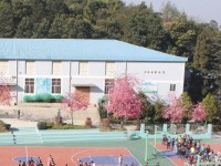 云南林業(yè)幼兒師范高級(jí)技工學(xué)校2023年學(xué)費(fèi)、收費(fèi)多少