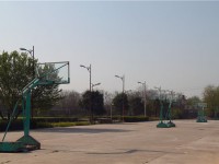 陜西金穗國(guó)際汽車(chē)師范學(xué)院歷年招生錄取分?jǐn)?shù)線(xiàn)