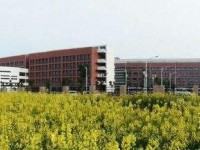 湖北中專幼師學(xué)?？梢钥即髮? /><b>湖北中專幼師學(xué)?？梢钥即髮?/b><span>2019-09-10 15:54</span><p>湖北中專幼師學(xué)?？梢钥即髮?？肯定可以的。首先我們要清楚，幼師中專學(xué)歷想報考大專是可以的。就算你現(xiàn)在已經(jīng)是中專學(xué)歷，也可</p></a></li>
            <li><a href=