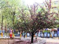 石家莊法商幼兒師范中等專業(yè)學(xué)校2023年報名條件、招生要求、招生對象