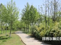 石家莊中英航空幼兒師范中等專業(yè)學校2023年怎么樣、好不好