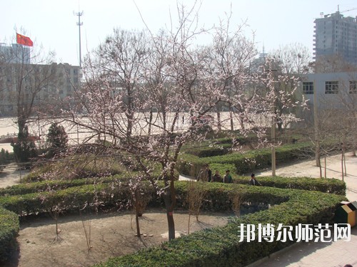 衡水市職業(yè)技術教育中心1