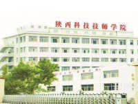 陜西2020年幼師學(xué)校讀什么專(zhuān)業(yè)有前途