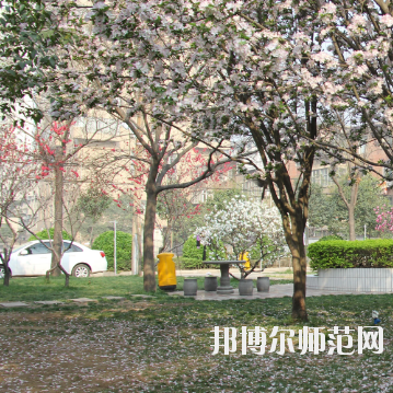 鄭州2020年職高和幼師學校有哪些區(qū)別
