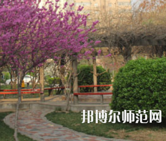 鄭州2020年幼師學(xué)?？梢詫W(xué)什么