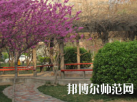 鄭州2020年幼師學(xué)?？梢詫W(xué)什么