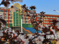 安徽2020年幼師學校職業(yè)學校哪家好