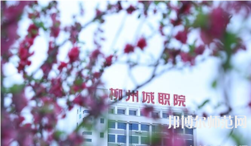 柳州城市職業(yè)師范學(xué)院怎么樣、好不好