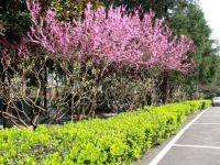 大同師范高等?？茖W(xué)校2023年招生錄取分數(shù)線