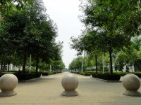 廣西現(xiàn)代職業(yè)技術(shù)師范學(xué)院2023年報名條件、招生要求、招生對象