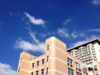 東華大學(xué)師范學(xué)院延安路校區(qū)2023年報名條件、招生要求、招生對象