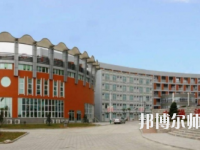 濟南幼兒師范高等?？茖W校2023年有哪些專業(yè)