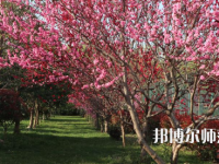 河南科技職業(yè)師范大學2023年怎么樣、好不好