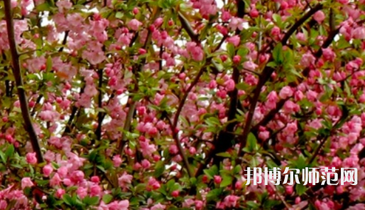 鄭州大學師范學院南校區(qū)2023年怎么樣、好不好