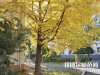 北京京北職業(yè)師范技術(shù)學(xué)院2023年報(bào)名條件、招生要求、招生對(duì)象