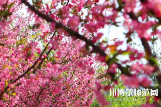 鄭州大學(xué)師范學(xué)院主校區(qū)2023年報名條件、招生要求、招生對象