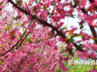 鄭州大學(xué)師范學(xué)院主校區(qū)2023年報(bào)名條件、招生要求、招生對(duì)象
