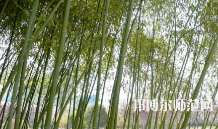 周口職業(yè)技術(shù)師范學院文昌校區(qū)2023年招生代碼