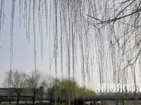 鶴壁職業(yè)技術(shù)師范學(xué)院2023年怎么樣、好不好