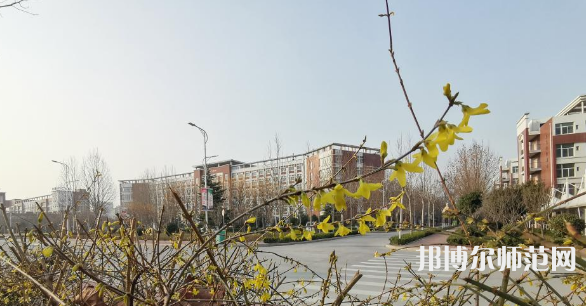 鶴壁職業(yè)技術(shù)師范學(xué)院2023年報(bào)名條件、招生要求、招生對(duì)象