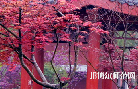 駐馬店師范職業(yè)技術(shù)學(xué)院2023年怎么樣、好不好