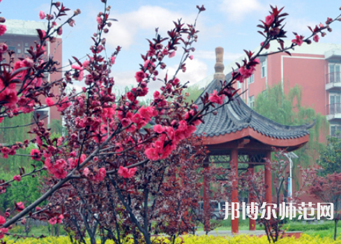 駐馬店師范職業(yè)技術(shù)學(xué)院2023年報(bào)名條件、招生要求、招生對(duì)象