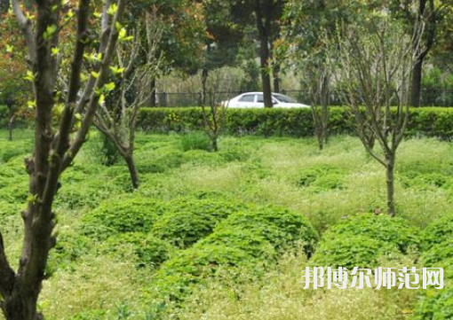 駐馬店師范職業(yè)技術(shù)學(xué)院2023年報(bào)名條件、招生要求、招生對(duì)象