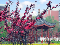 駐馬店師范職業(yè)技術(shù)學(xué)院2023年報(bào)名條件、招生要求、招生對(duì)象