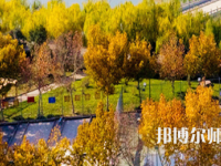 河南理工師范大學(xué)北校區(qū)2023年報(bào)名條件、招生要求、招生對(duì)象
