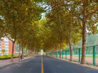 聊城師范大學(xué)東昌學(xué)院2023年報(bào)名條件、招生要求、招生對(duì)象
