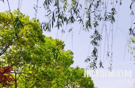南陽理工師范學(xué)院2023年報名條件、招生要求、招生對象